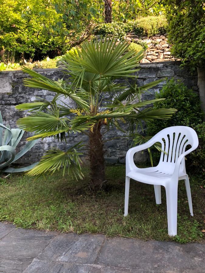Casa Angela Daire Locarno Dış mekan fotoğraf